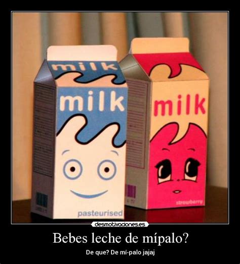 Leche De Mipalo Significado in Spanish 